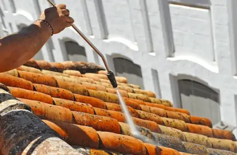 Nettoyage de toitures - Neuillay-les-Bois